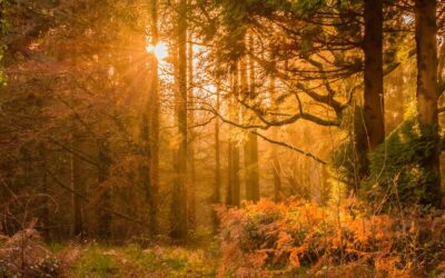 Kommen Sie runter! Stress erfolgreich überwinden