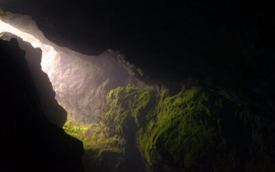 Massenwahn: C. G. Jung hat uns gewarnt