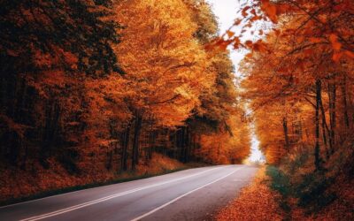 STRESS: Raus aus dem Hamsterrad! So geht Ankommen